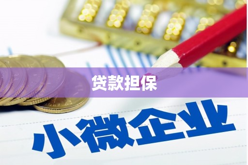 竹崎贷款担保
