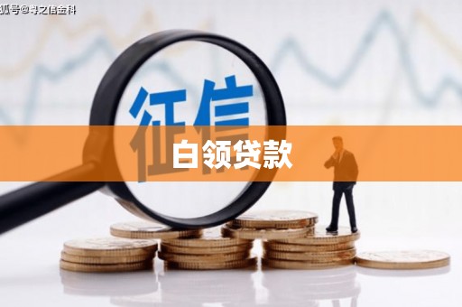 仙游白领贷款