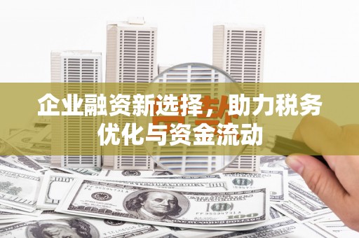 陆丰企业融资新选择，助力税务优化与资金流动