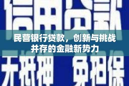 高坪民营银行贷款，创新与挑战并存的金融新势力