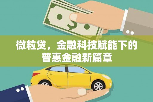 海伦微粒贷，金融科技赋能下的普惠金融新篇章