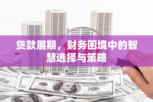 疏附贷款展期，财务困境中的智慧选择与策略