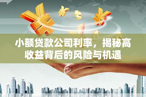 田家庵小额贷款公司利率，揭秘高收益背后的风险与机遇
