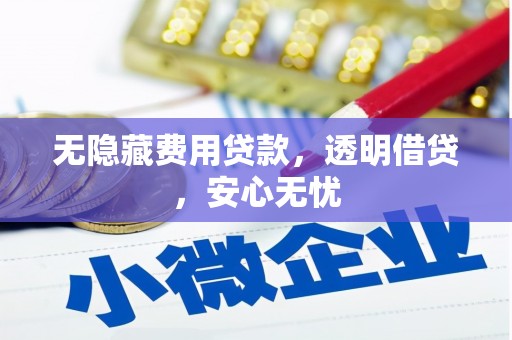 台西无隐藏费用贷款，透明借贷，安心无忧