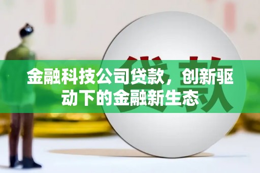 金湖金融科技公司贷款，创新驱动下的金融新生态