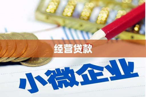 新泰经营贷款