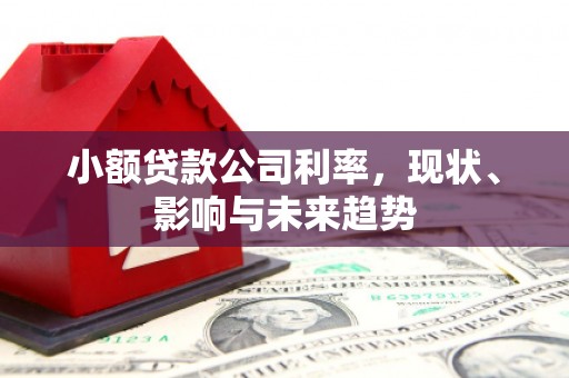 红安小额贷款公司利率，现状、影响与未来趋势