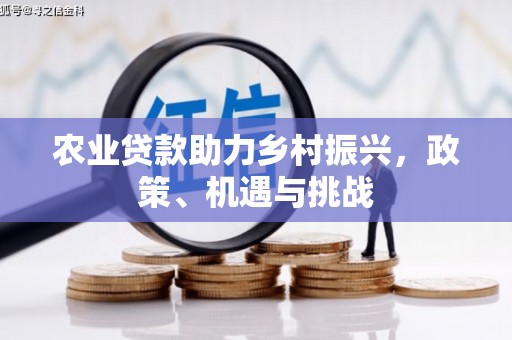 林西农业贷款助力乡村振兴，政策、机遇与挑战