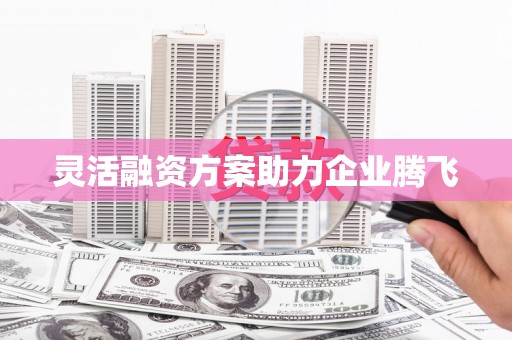 海盐灵活融资方案助力企业腾飞