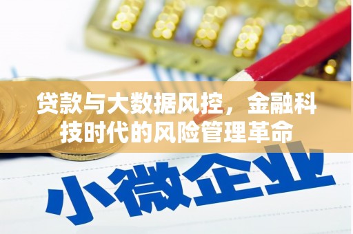 横县贷款与大数据风控，金融科技时代的风险管理革命