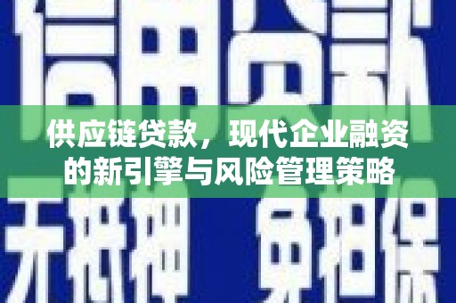 鹤庆供应链贷款，现代企业融资的新引擎与风险管理策略