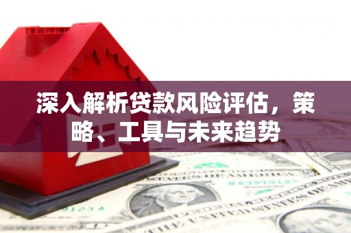 布袋深入解析贷款风险评估，策略、工具与未来趋势
