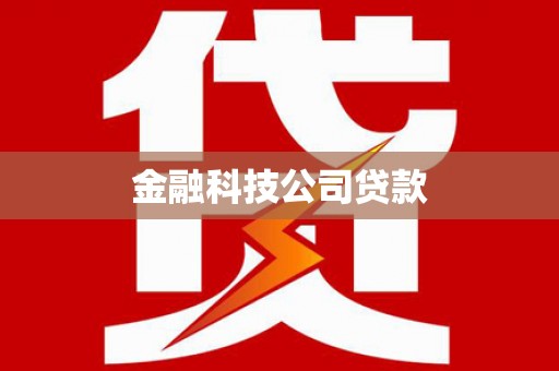 琼海金融科技公司贷款