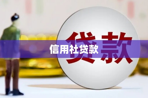 双清信用社贷款