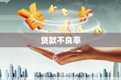延庆贷款不良率