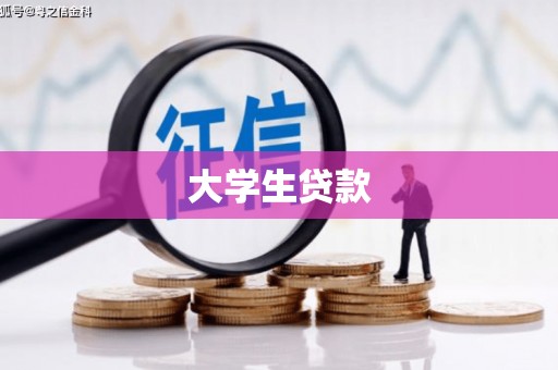 嘉禾大学生贷款