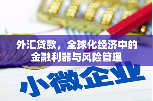 秀林外汇贷款，全球化经济中的金融利器与风险管理