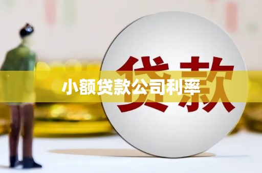 四子王旗小额贷款公司利率