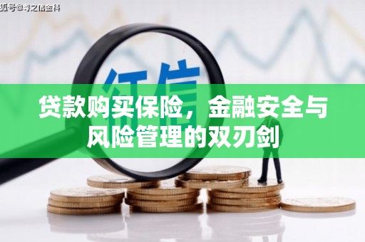 小金贷款购买保险，金融安全与风险管理的双刃剑