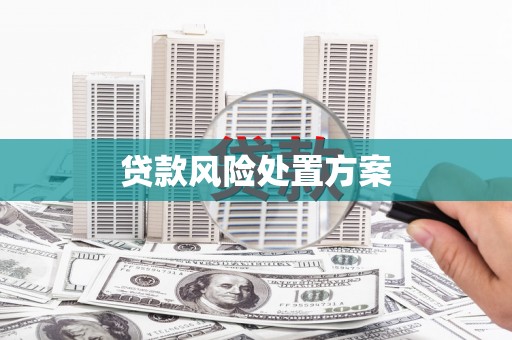 麻城贷款风险处置方案