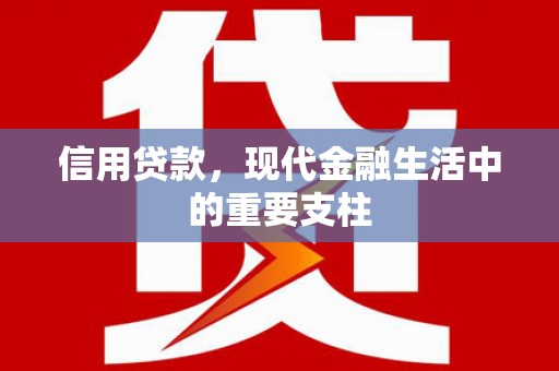 玛家信用贷款，现代金融生活中的重要支柱