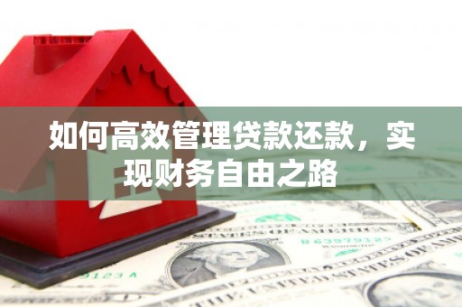 狮潭如何高效管理贷款还款，实现财务自由之路