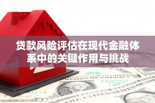 丹徒贷款风险评估在现代金融体系中的关键作用与挑战