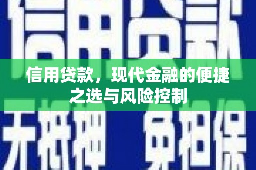南涧信用贷款，现代金融的便捷之选与风险控制