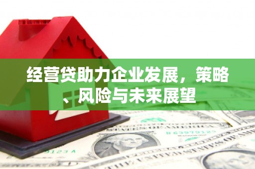 蓬江经营贷助力企业发展，策略、风险与未来展望