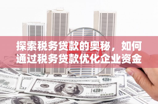 邯山探索税务贷款的奥秘，如何通过税务贷款优化企业资金流