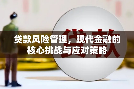 隆子贷款风险管理，现代金融的核心挑战与应对策略