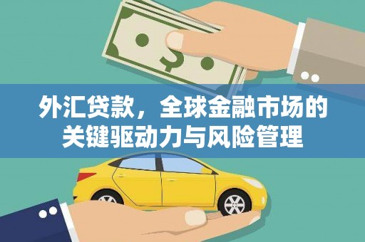 临海外汇贷款，全球金融市场的关键驱动力与风险管理