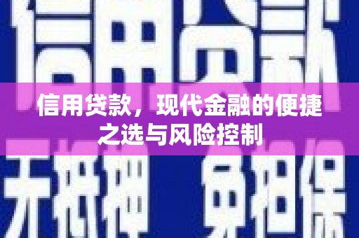 沧县信用贷款，现代金融的便捷之选与风险控制