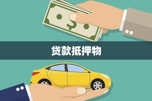 宁明贷款抵押物