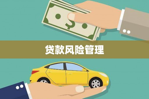 王益贷款风险管理