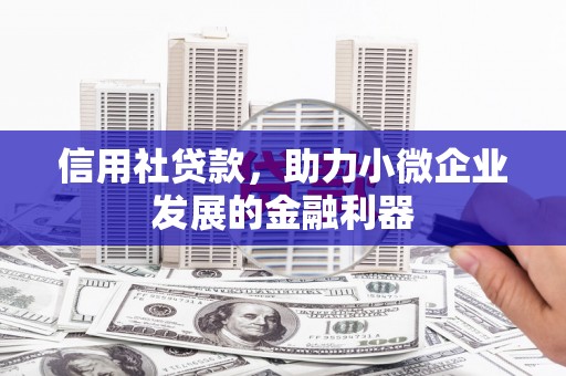 康保信用社贷款，助力小微企业发展的金融利器
