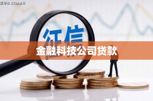 芦竹金融科技公司贷款