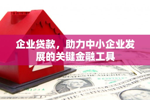 琼中企业贷款，助力中小企业发展的关键金融工具