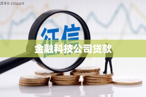万峦金融科技公司贷款