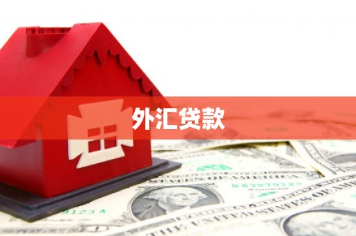 固镇外汇贷款