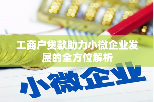 宁明工商户贷款助力小微企业发展的全方位解析
