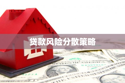 舒兰贷款风险分散策略