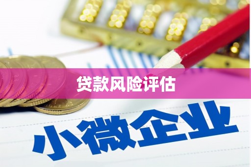 三湾贷款风险评估