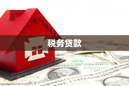 东乌旗税务贷款