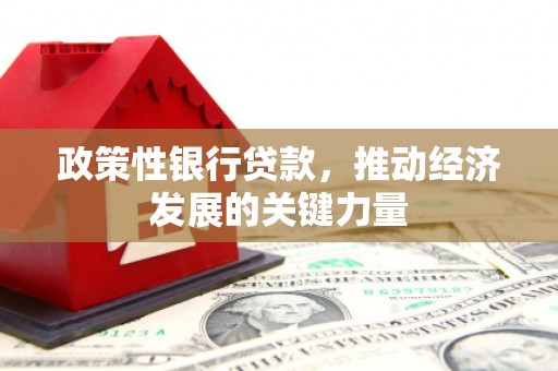 安仁政策性银行贷款，推动经济发展的关键力量