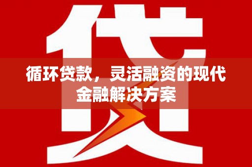 新沂循环贷款，灵活融资的现代金融解决方案