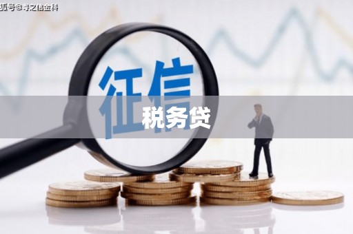 大足税务贷