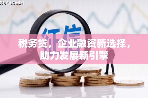 慈溪税务贷，企业融资新选择，助力发展新引擎