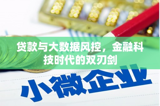 成武贷款与大数据风控，金融科技时代的双刃剑