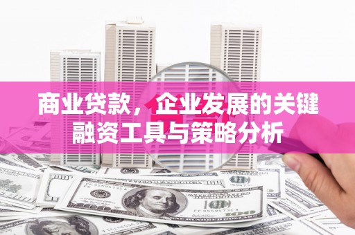 西岗商业贷款，企业发展的关键融资工具与策略分析